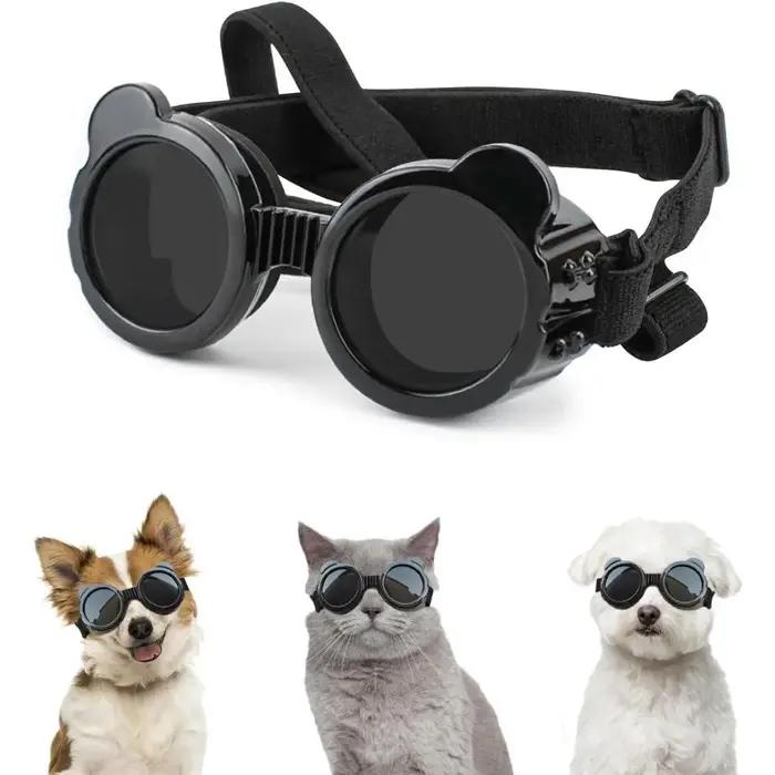 Lunettes de soleil pour animaux de compagnie
