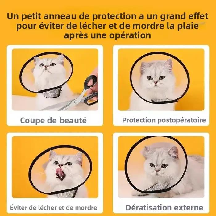 Collier Elizabeth pour animaux de compagnie