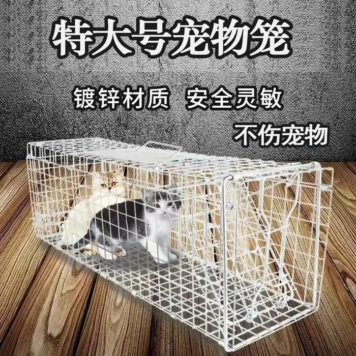 Grand piège à souris pliable à 1 porte pour chat