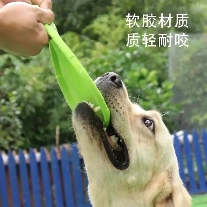 Jouet frisbee pour chien en caoutchouc résistant aux morsures