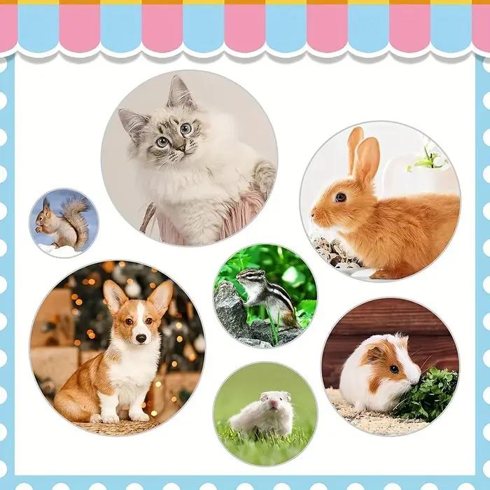 Ensemble de toilettage pour chiens 9 pièces avec peigne à puces, coupe-ongles et brosse de douche pour un soin optimal de votre animal de compagnie occasions spéciales