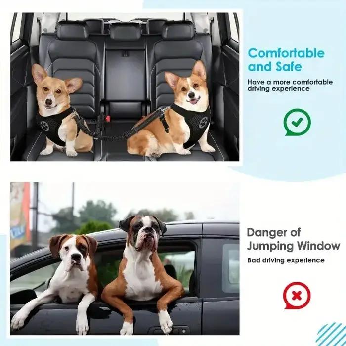 Harnais de sécurité pour chien en voiture