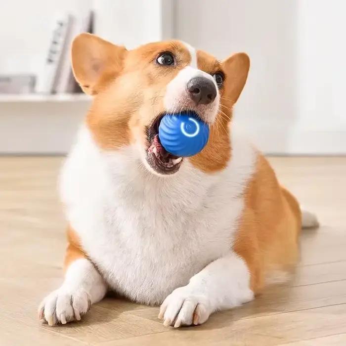 Jouets pour chiens, balle de saut par gravité intelligente