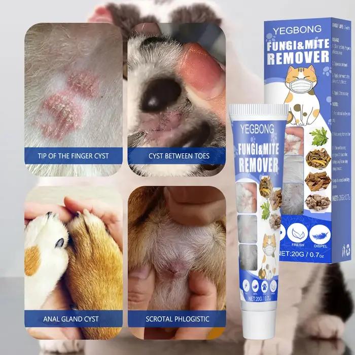 Crème de traitement contre les infections de la teigne non collante pour chiens et chats soulagement rapide anti-démangeaisons infections cutanées