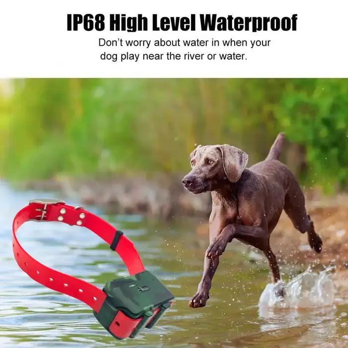 Collier Gps de traqueur d'animaux pour chiens