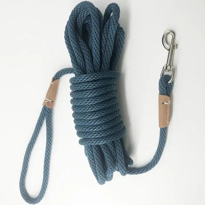 Laisse d'entraînement en nylon robuste pour chiot et grand chien Jogging Time pour balades et compétitions en plein air
