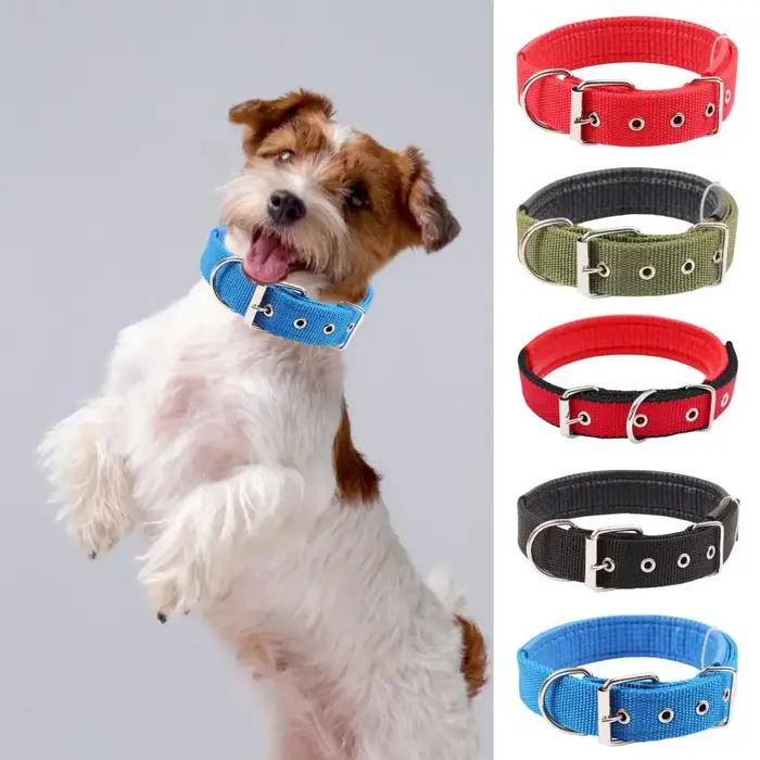 Collier de chien réglable en nylon avec anneau de traction
