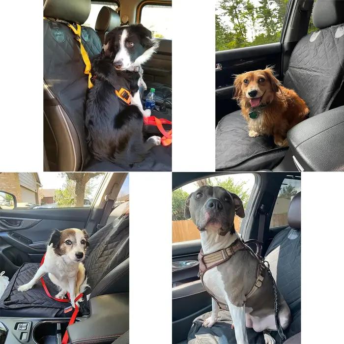 Housses de siège auto pour chien 100 % imperméables