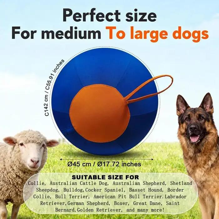 Ballon gonflable de 45 cm pour chien