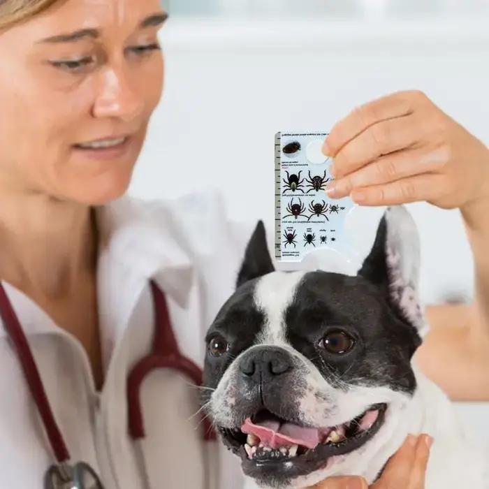 Collier pour chiens avec carte à tiques multifonctionnelle et loupe pour protection contre les tiques en élasthanne白色
