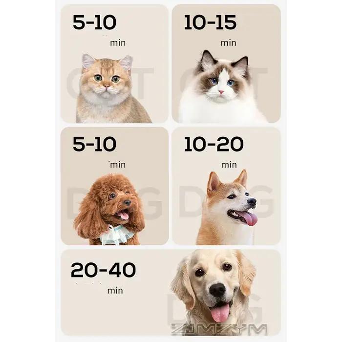 Sèche-cheveux professionnel Pet Force pour animaux de compagnie