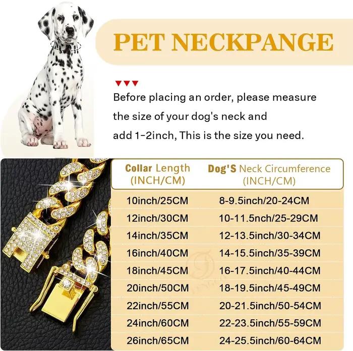Collier de chaîne en métal doré pour animaux de compagnie