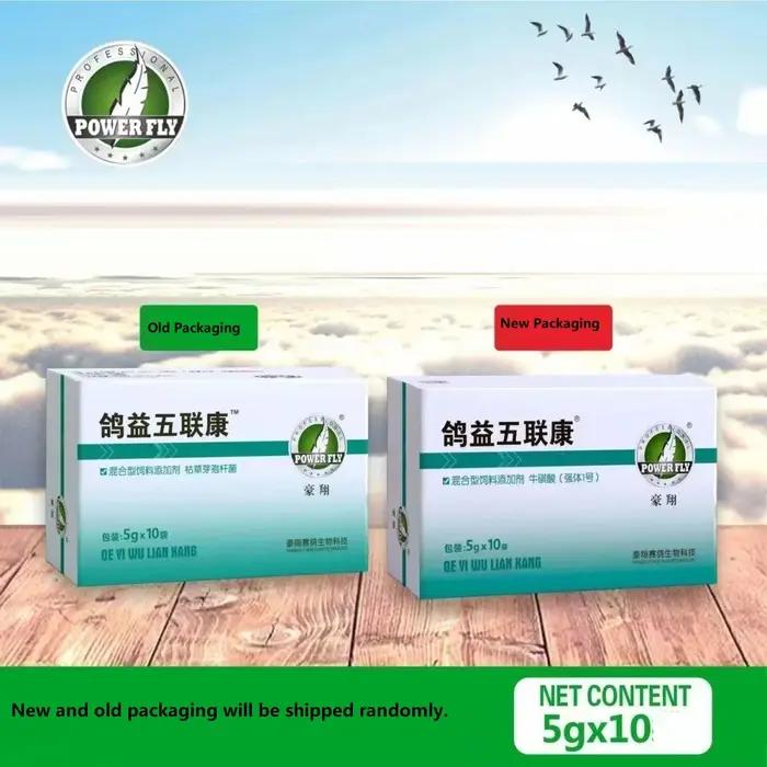 Complément de Santé Multiviral et Bactérien pour Pigeon Protection Adenovirus, Newcastle, Salmonella, Chlamydia, Influenza Occasions Spéciales Pigeon Maison Compagnon