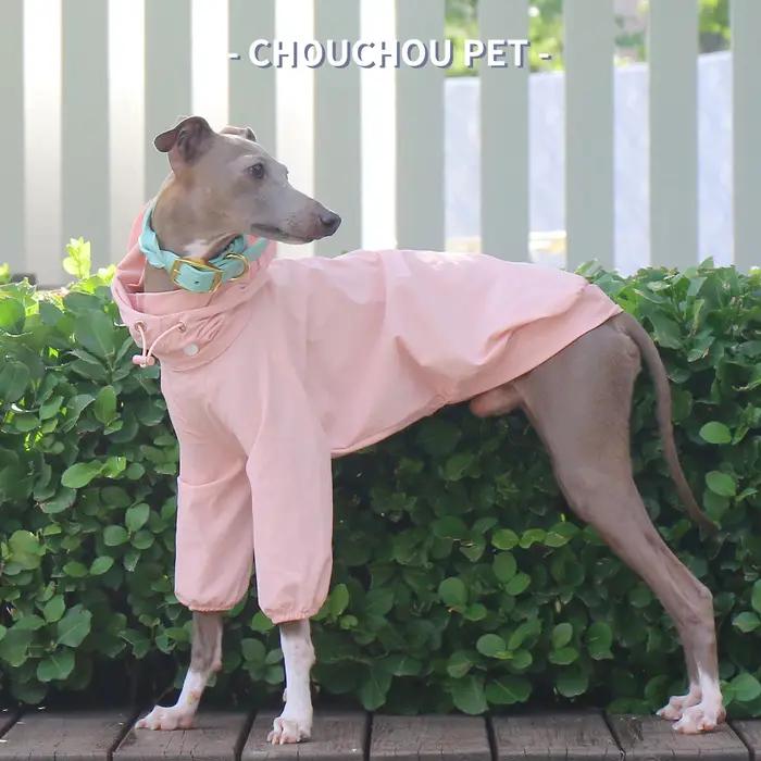 Vêtements pour animaux de compagnie Whippet lévrier italien pour l'automne protection solaire extérieure