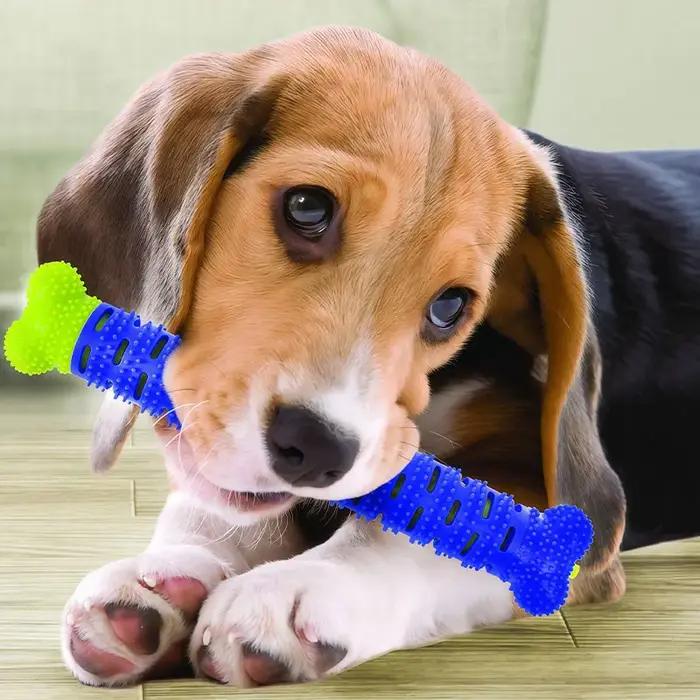 Jouet en caoutchouc naturel pour chien