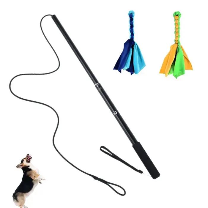 Bâton de flirt extensible rétractable pour chien