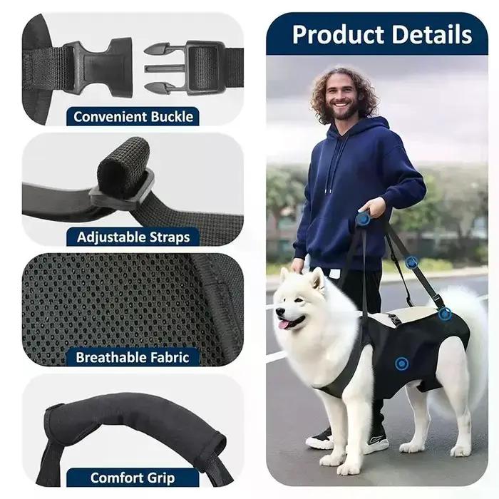 Harnais d'aide à la montée d'escalier pour chien adulte aide à la mobilité chiens âgés protection articulations chiens grandes races chiens plus lourds chiens vieux chiens aidants chiens escaliers chiens déplacement facile chiens sécurité chiens confort chiens soins santé chiens occasions spéciales