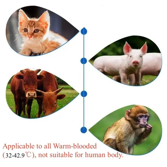 Thermomètre infrarouge pour animaux de compagnie