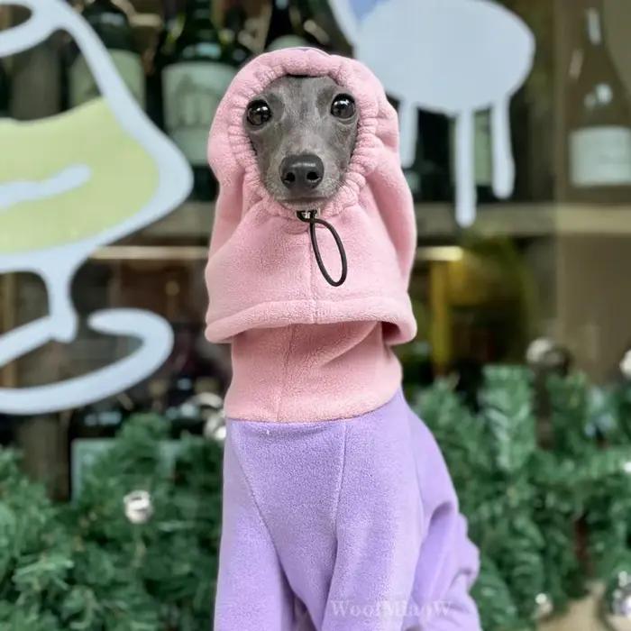 Vêtements pour chiens pour Greyho italien avec chapeau
