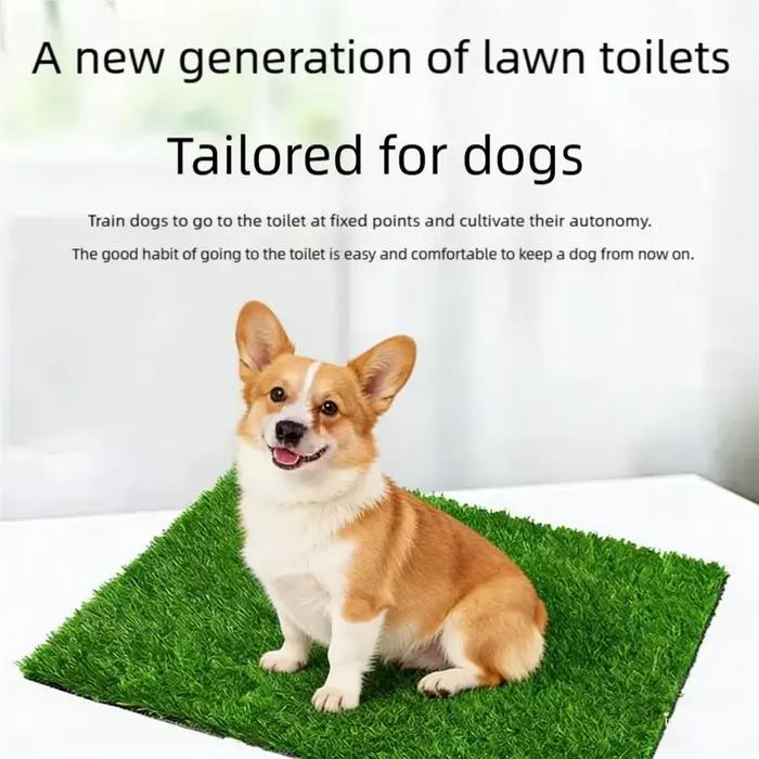 Tapis d'herbe artificielle lavable ultime pour chien - Réutilisable