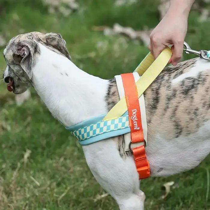 Harnais pour chien, gilet avec poignée