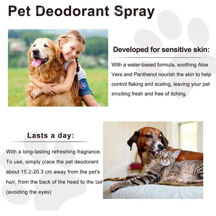 Spray désodorisant pour chien
