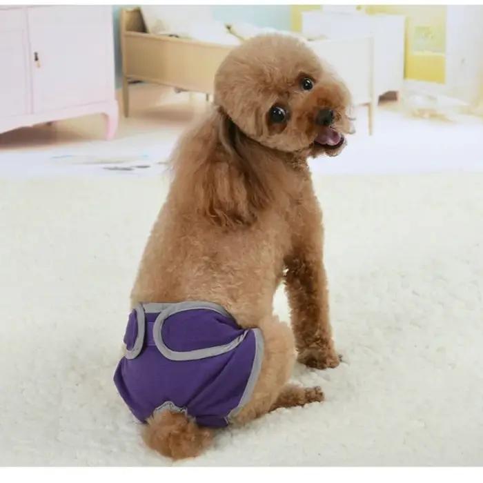 Culottes physiologiques réutilisables pour chiens protectrices pour petites moyennes et grandes tailles printemps été élégantes pour chiens occassions spéciales