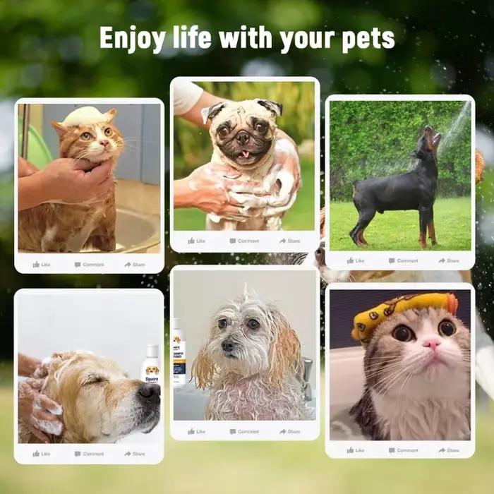 Shampoing désodorisant pour animaux de compagnie