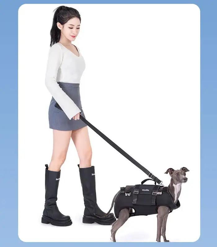 Sac à dos de transport pour chien