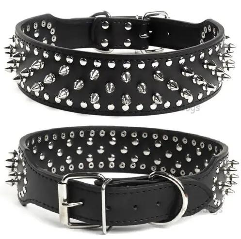 Colliers pour chiens en cuir cloutés à pointes de 2 pouces de large