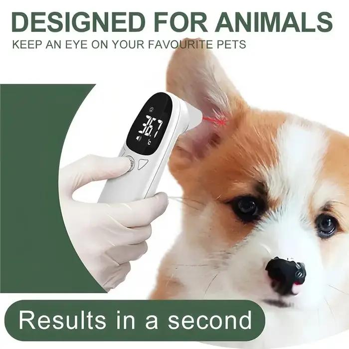 Thermomètre numérique pour oreilles de chien