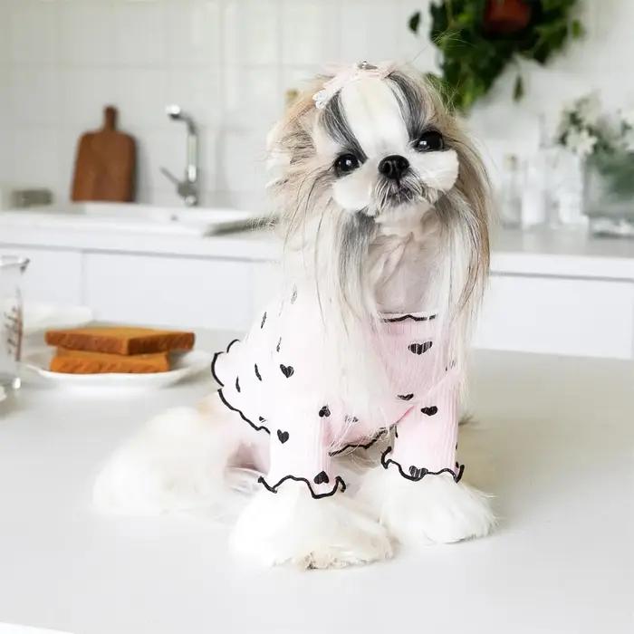 Vêtements pour animaux de compagnie pour petits chiens et chats