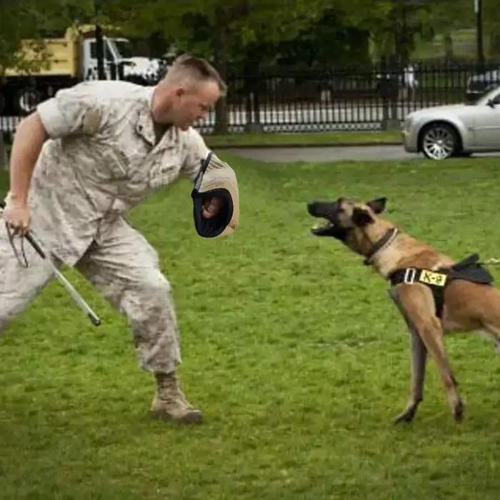 Manchon de Protection des bras pour l'entraînement des morsures de chien