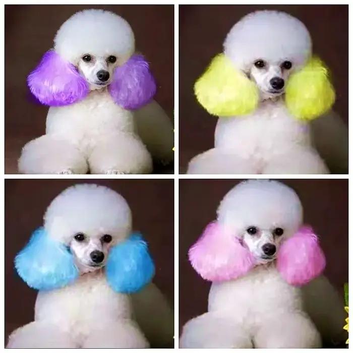 Crème de teinture pour animaux de compagnie semi-permanente haute pigmentation pour chiens et chats avec des couleurs vibrantes et lumineuses pour les sorties et cadeaux personnalisés