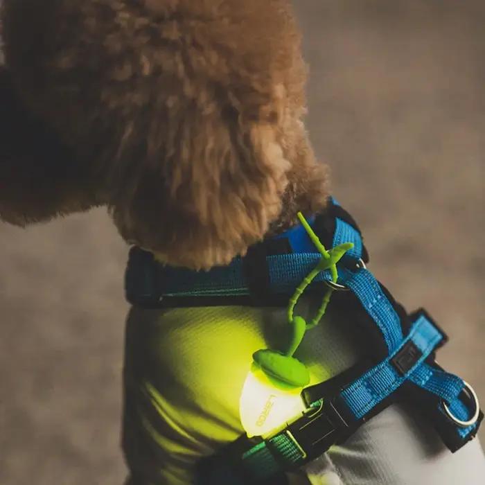 Pendentif Led qui brille dans le noir pour chien