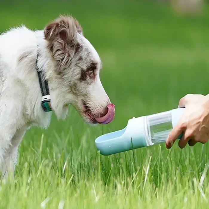 Bouteille d'eau de sortie pour chien