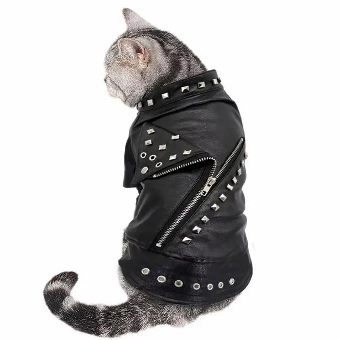 Veste en cuir pour chien