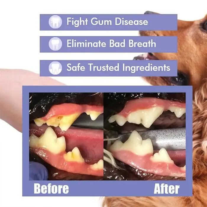 Spray buccal pour chiens soins bucco-dentaires préventifs élimination bactéries haleine fraîche réduction plaque tartre gencives saines usage quotidien occassions spéciales cadeau animaux de compagnie