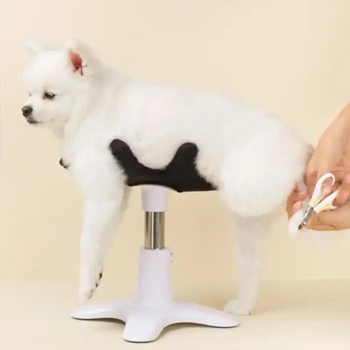 Table de toilettage pour animaux de compagnie en métal réglable pour chiens universelle et antiparasitaire pour le toilettage et le brossage à domicile occasions spéciales