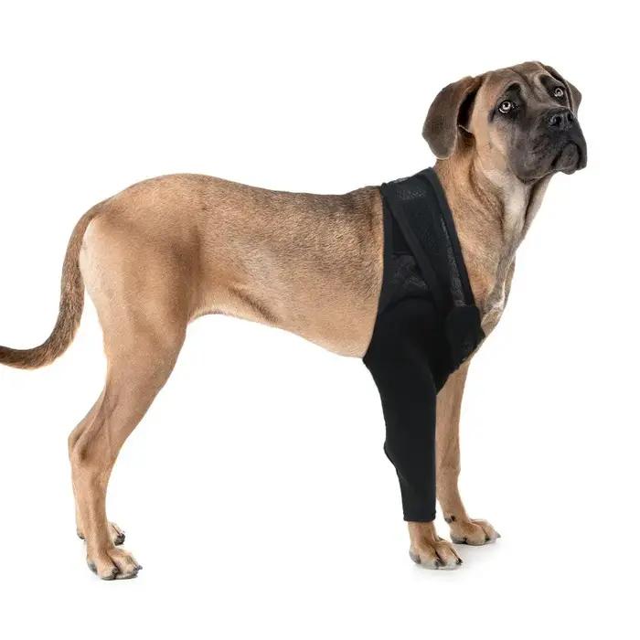 Genouillère pour chiens tissu support articulaire douleurs musculaires récupération rapide chiens blessés chiens âgés chiens handicapés occasions spéciales