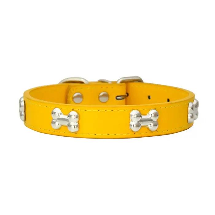 Collier de cuir Sophia pour chien élégant pour promenade quotidienne et concours de beauté canin