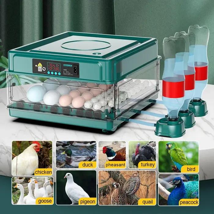 Incubateur de 6 à 12 œufs pour poulet