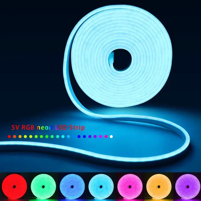 Bande LED néon RGB USB 5V, 1M 2M 3M 4M 5M, avec application Bluetooth et télécommande pour panneau,