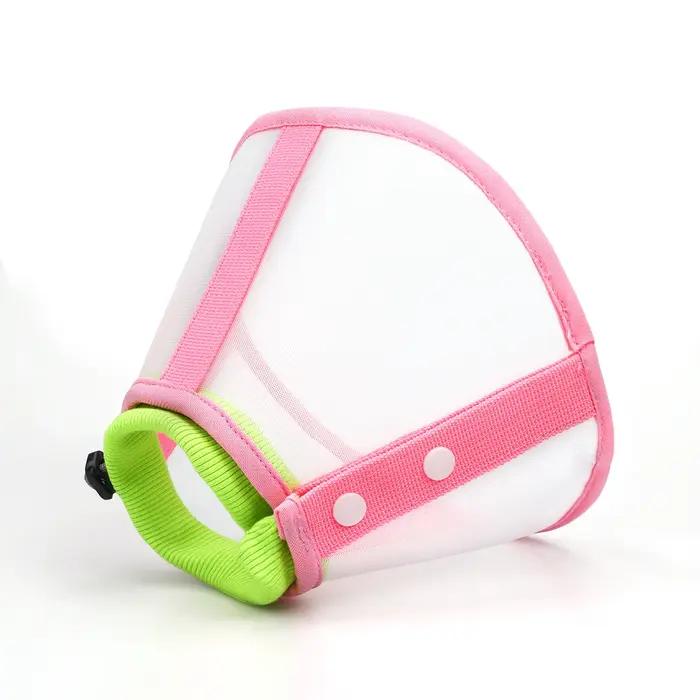 Un collier élisabéthain pour animaux de compagnie