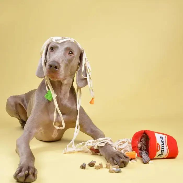 Jouets puzzle pour chiens
