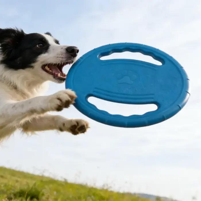 Jouet pour chien Eva Flying Disc