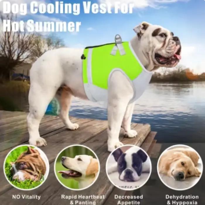 Gilet rafraîchissant pour chiens