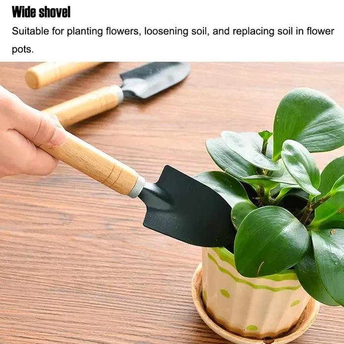 Outils de jardinage, ensemble de 3 pièces, pelle en fer, râteau pour jardinage, plantation de fleurs, ameublissement du sol, kit d'outils manuels pour la transplantation