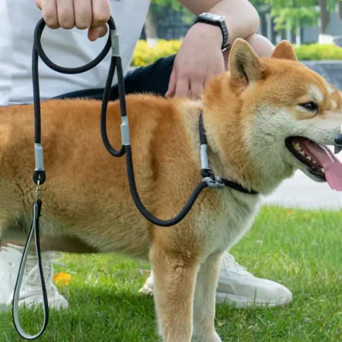 Laisse à double poignée réglable pour chien, fournitures pour animaux de compagnie, marche, chiot, P JODogs, 1.4m