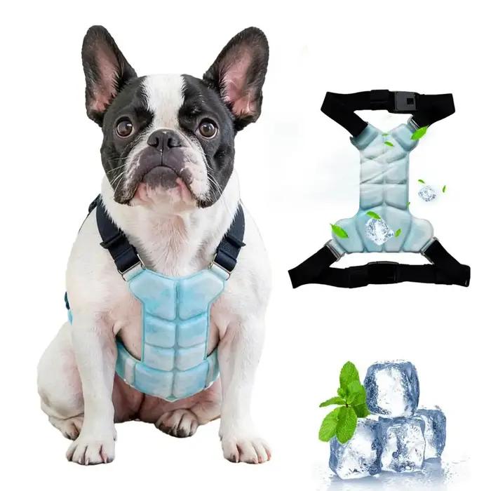 Gilet rafraîchissant pour chien, veste respirante avec pochettes de gel, veste rafraîchissante pour animaux de compagnie pour l'été, pour chiens de grande, moyenne et petite taille